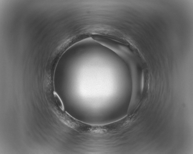 X0000080150407200612081327