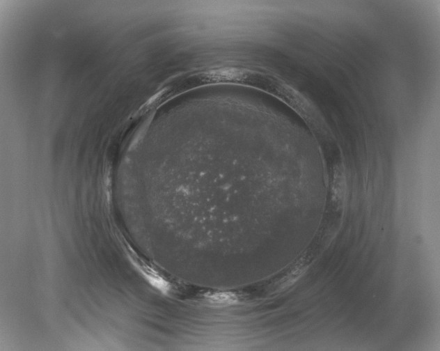 X0000080150409200612081327