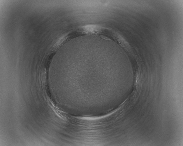 X0000080150413200612081327