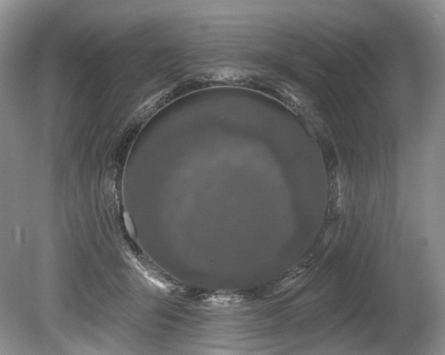 X0000080150415200612081327