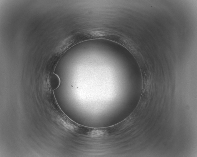 X0000080150418200612081327