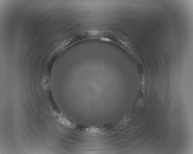 X0000080150419200612081327
