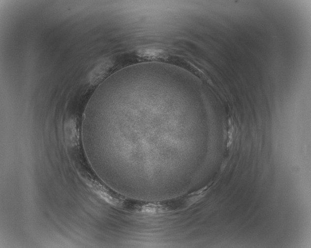 X0000080150420200612081327