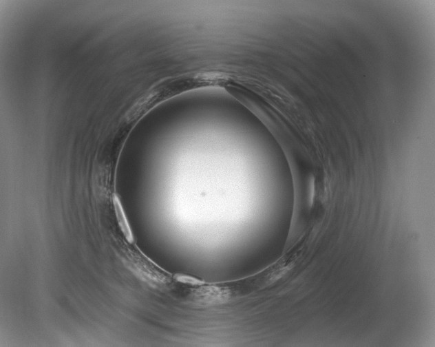 X0000080150421200612081327