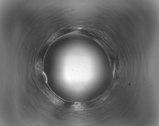 X0000080150425200612081327