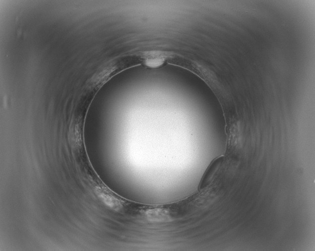 X0000080150426200612081327