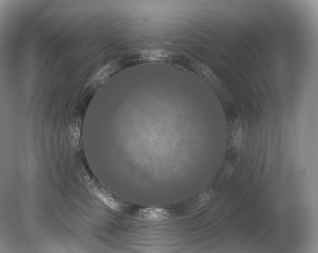 X0000080150427200612081326