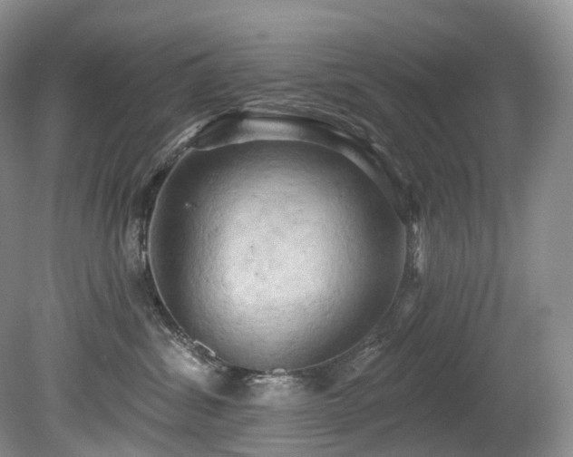 X0000080150428200612081326