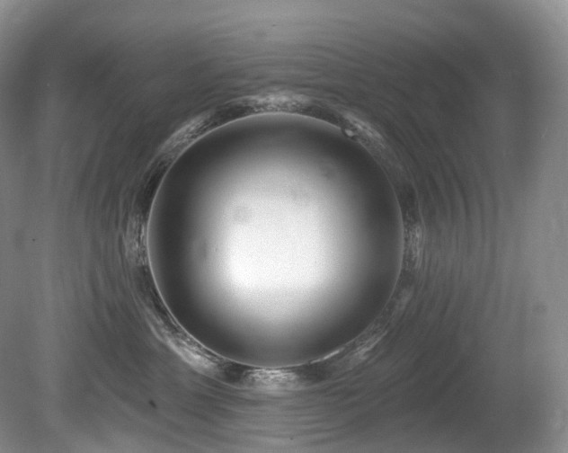 X0000080150429200612081326