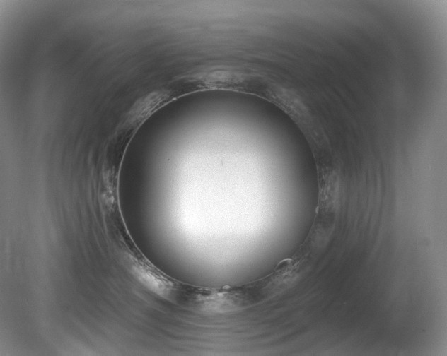 X0000080150430200612081326