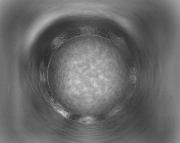 X0000080150431200612081326