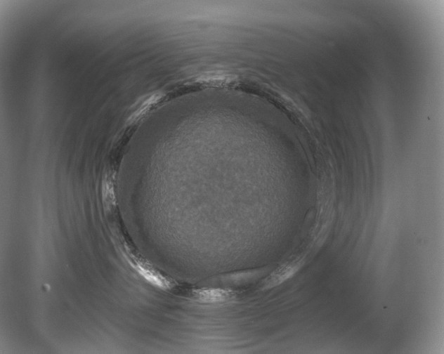 X0000080150432200612081326