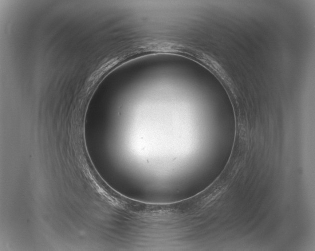 X0000080150433200612081326