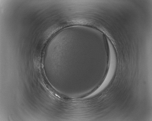 X0000080150434200612081326