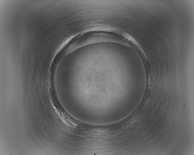 X0000080150436200612081326