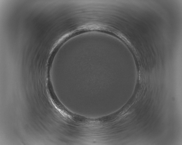 X0000080150438200612081326