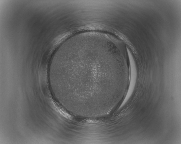 X0000080150442200612081326