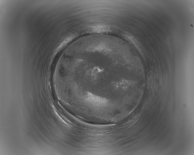 X0000080150443200612081326