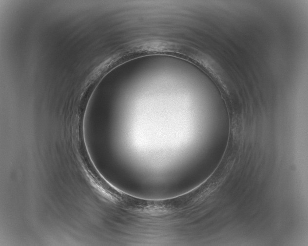 X0000080150445200612081326