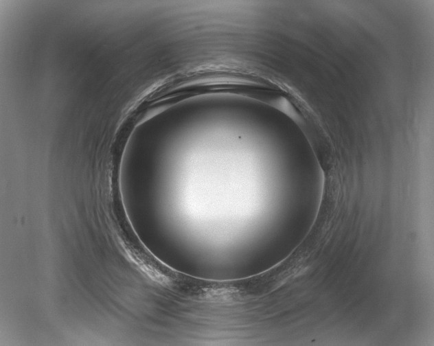 X0000080150446200612081326