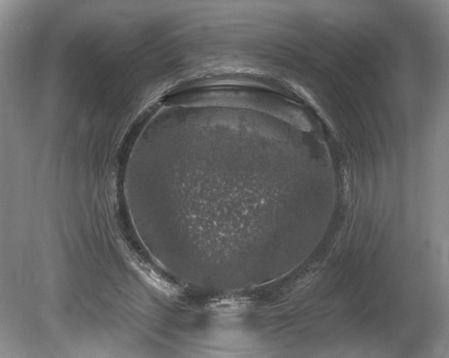 X0000080150447200612081326