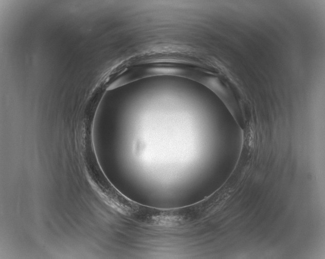 X0000080150448200612081326