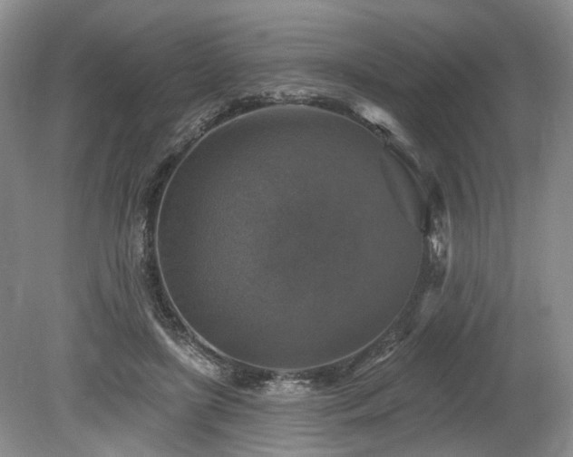 X0000080150451200612081326