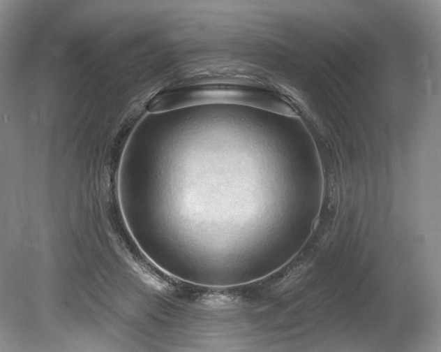 X0000080150453200612081326