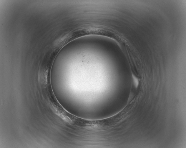 X0000080150454200612081326