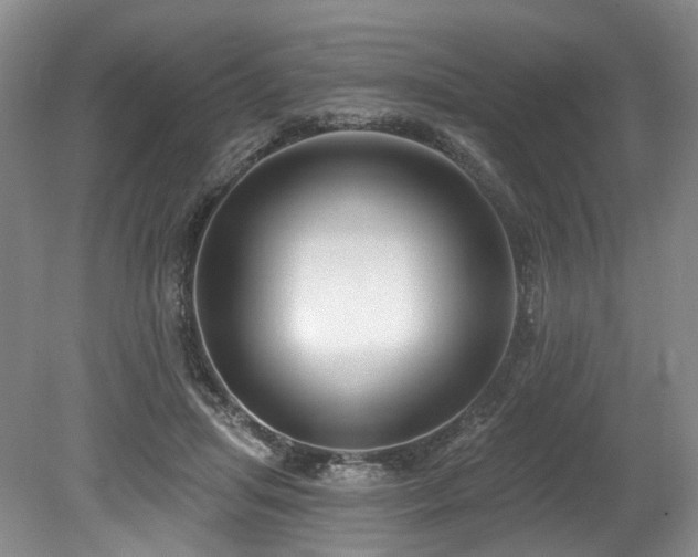 X0000080150455200612081326