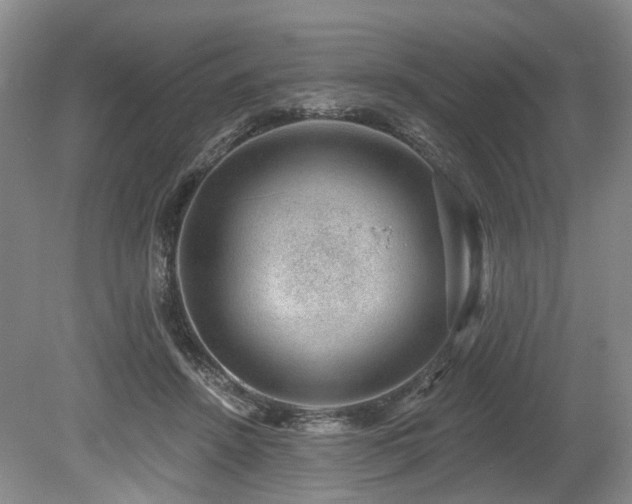 X0000080150456200612081326