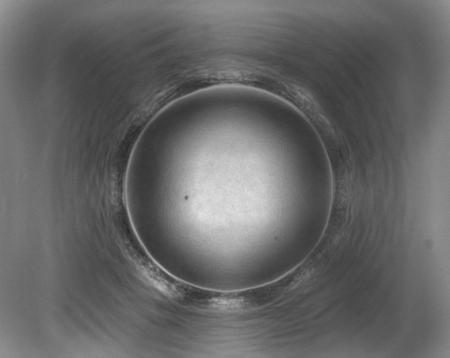 X0000080150457200612081326