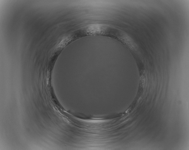 X0000080150458200612081326