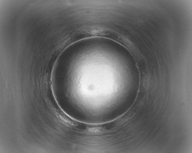 X0000080150461200612081326