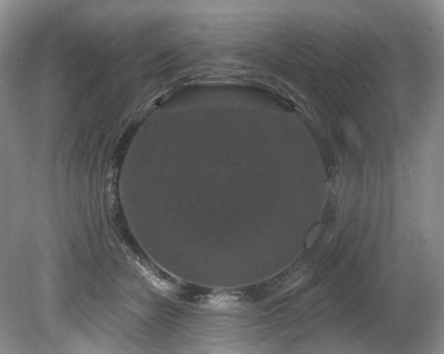 X0000080150462200612081326