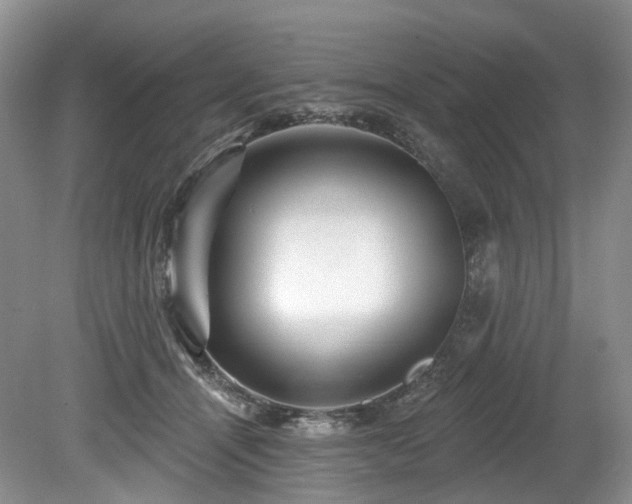 X0000080150464200612081326