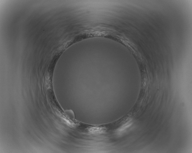 X0000080150465200612081326
