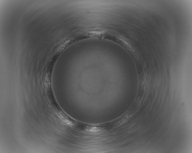 X0000080150467200612081326