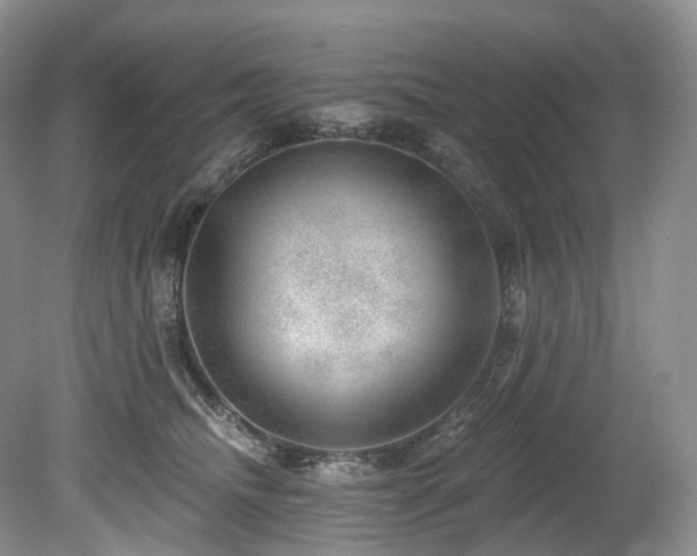 X0000080150468200612081326