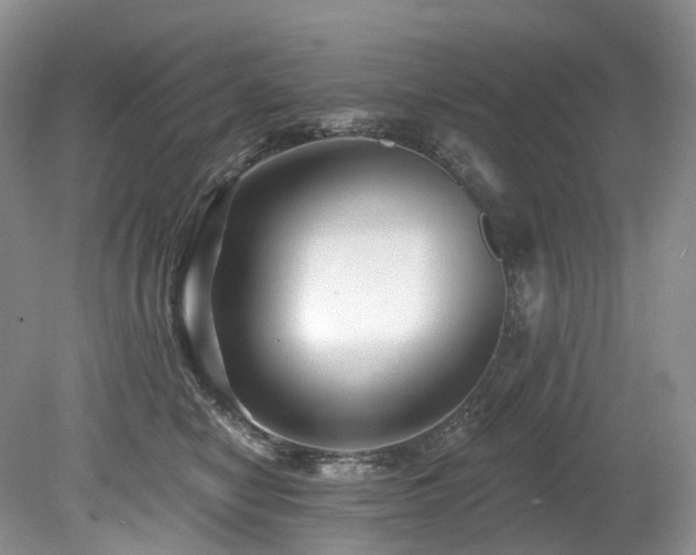 X0000080150470200612081326
