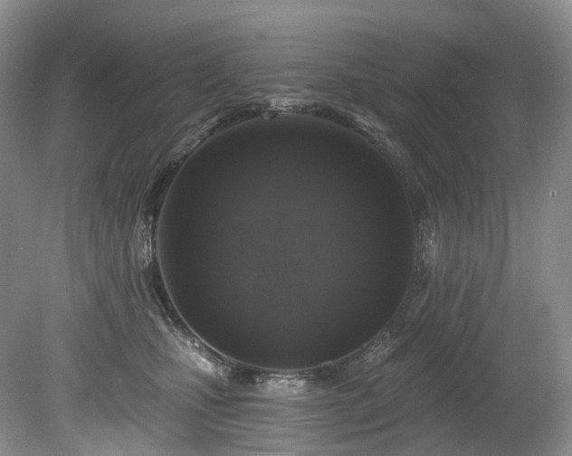 X0000080150471200612081326