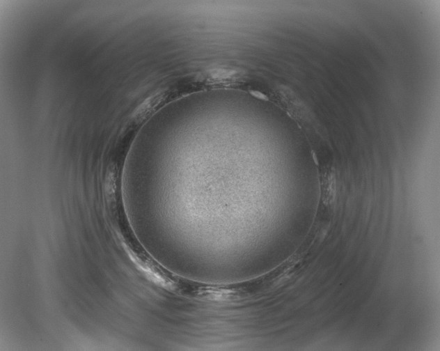 X0000080150472200612081326