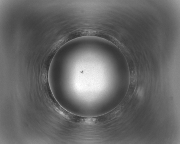 X0000080150474200612081326