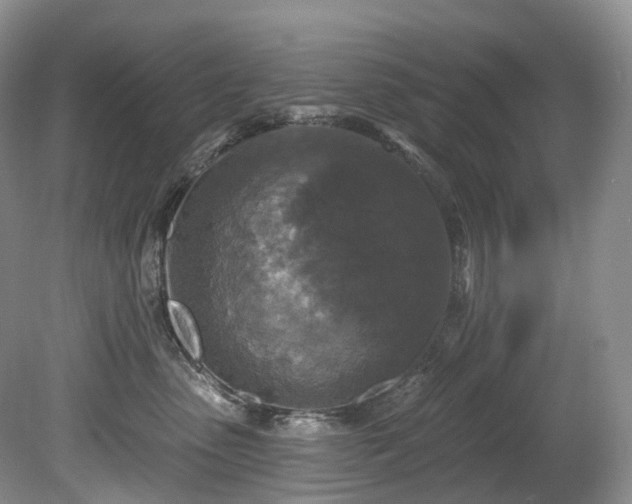 X0000080150475200612081326