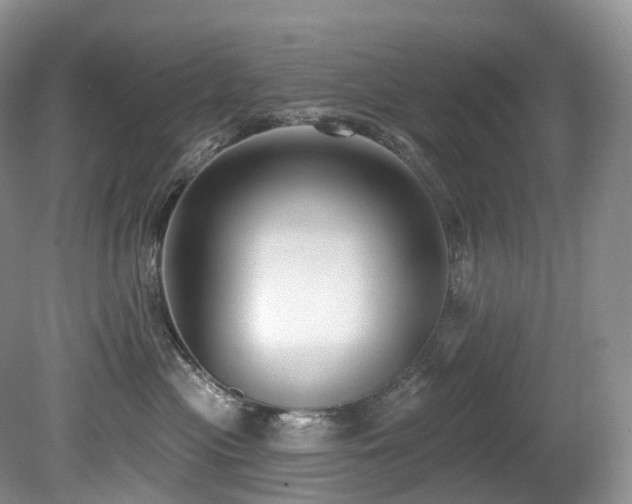 X0000080150477200612081326