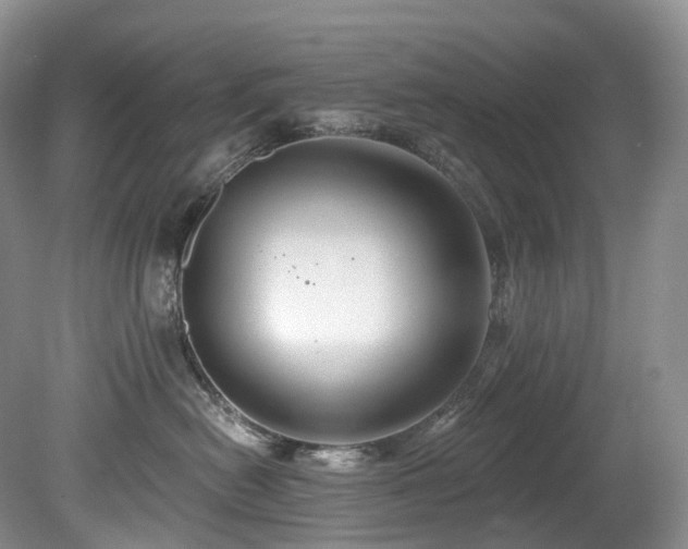 X0000080150478200612081326