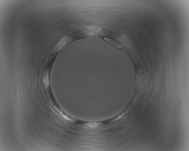 X0000080150479200612081326