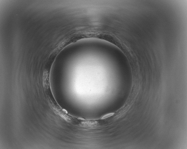 X0000080150480200612081326