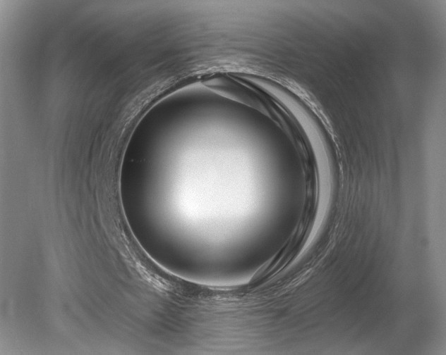 X0000080150481200612081326