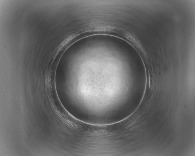 X0000080150483200612081326